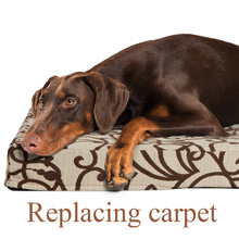 replacing carpet